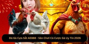 Đá Gà Cựa Sắt AE888 - Sân Chơi Cá Cược Gà Uy Tín 2026